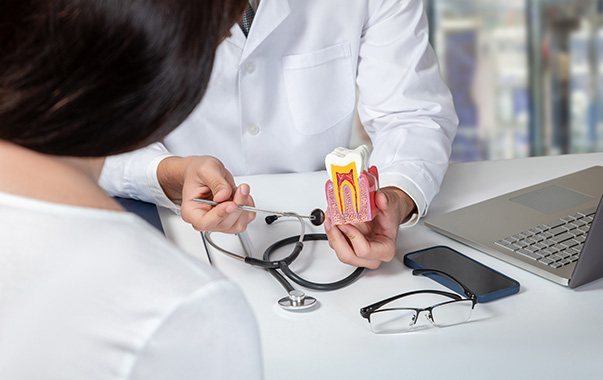 Dentist showing patient model of a tooth